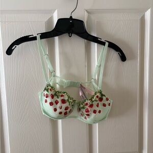 Victoria's Secret Teal Blue Bra with Red Floral Embroidery Strawberry Daisy